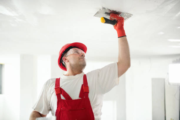 Best Trim and Molding Painting  in Anson, TX